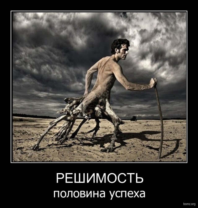 Картинки из сети