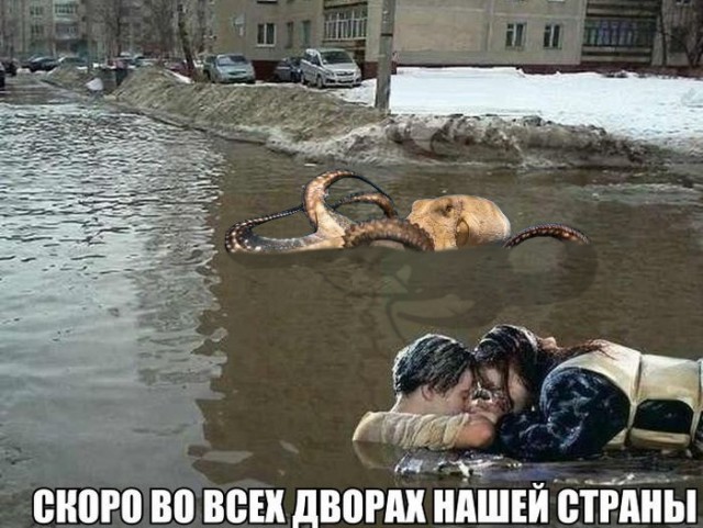Подборка интересных и веселых картинок