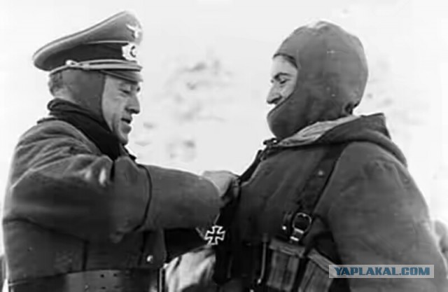 Голубая дивизия