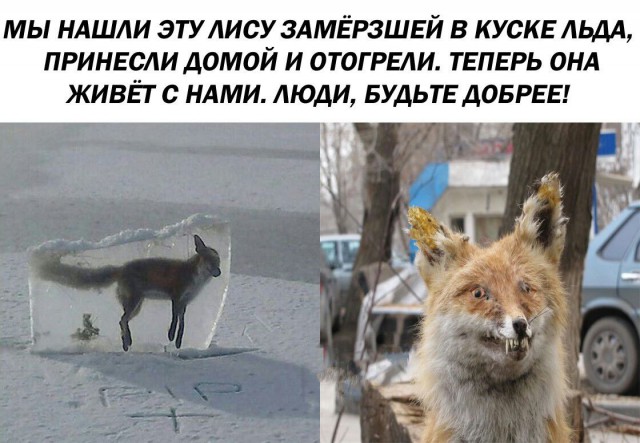 Доколе, я вас спрашиваю?