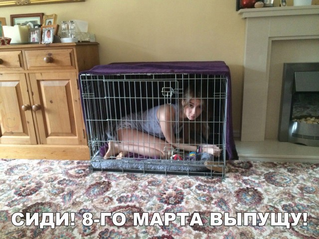 Нестандартный юмор