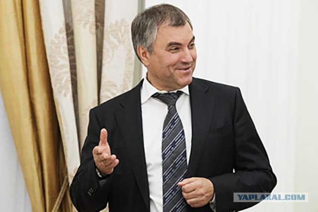 Володин предложил поддержать попавших под санкции бизнесменов