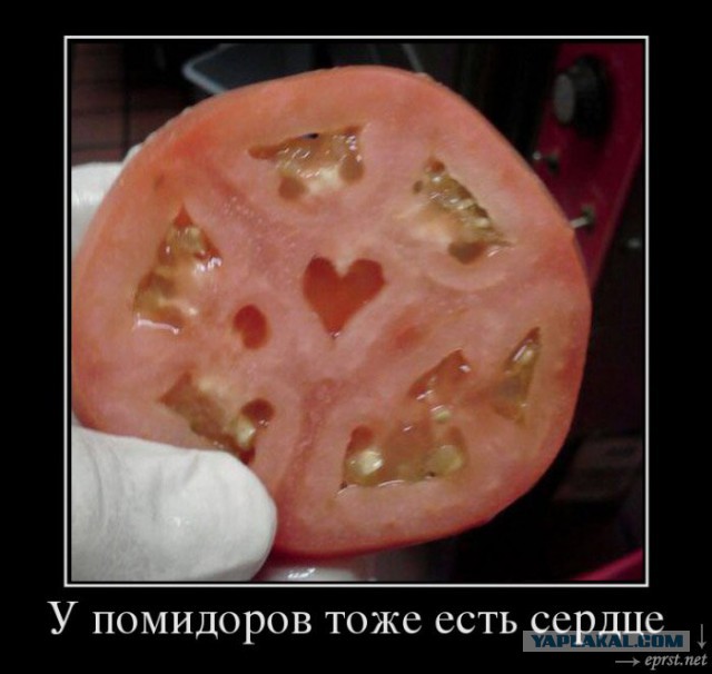 Что будет, если заказать в Италии томатный сок