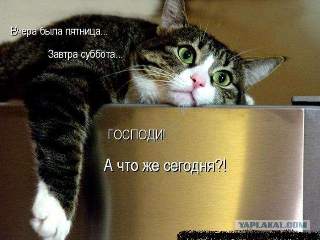 Алкопост на вечер этой пятницы