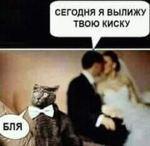 Адекват - не наш формат!