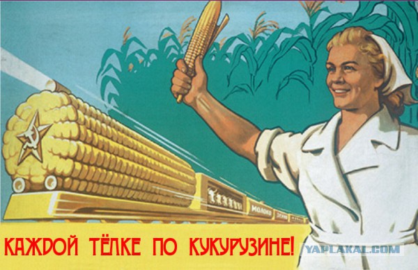 Царица полей: как кукуруза разорила СССР