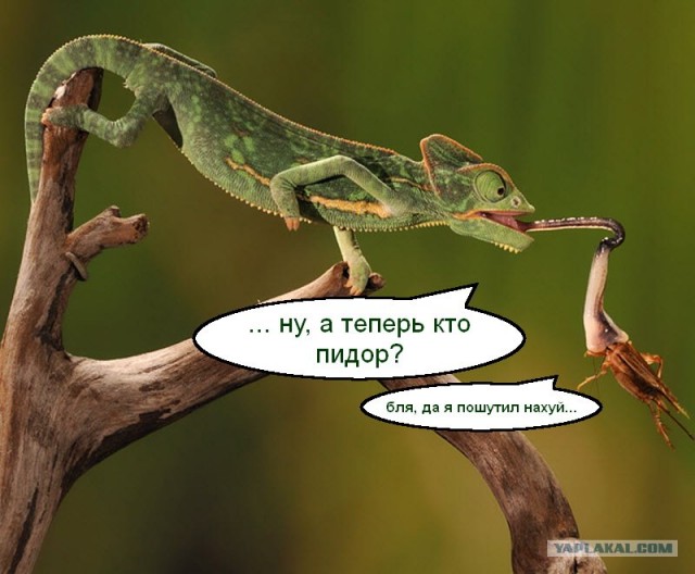 Застывшие во времени
