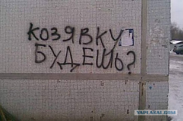 «Бродячие» философы: 17 глубокомысленных заметок в транспорте и на улицах