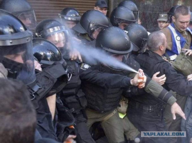 Как избежать задержания на митинге