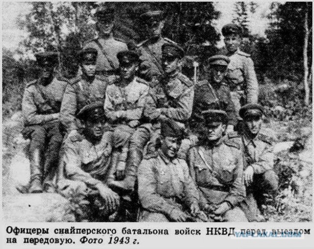 Гибель при сдаче на «краповый берет» — вопиющий непрофессионализм?