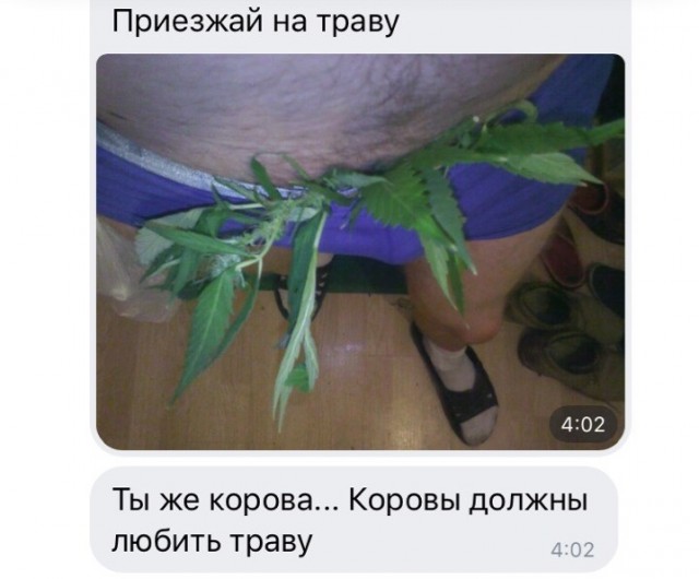 Скотсети и прочие интернеты 31.01.20