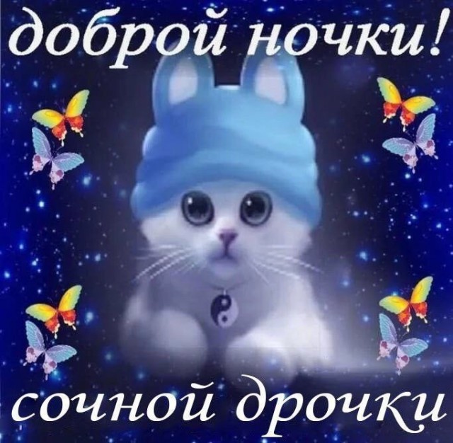 А вы знали, что у котов есть свой чат на Cat's.pornhub?