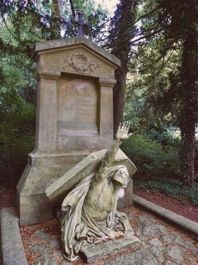14304780.jpg