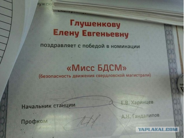 Бредзона 24.08.2020
