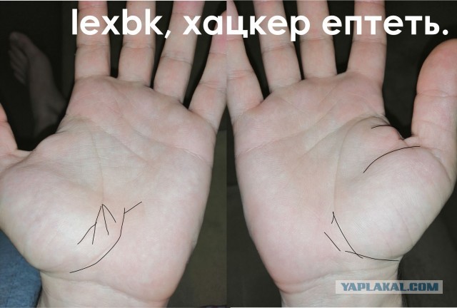 Исследую Хиромантию  (Часть 3)