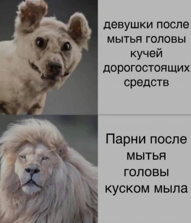 Фу, пошлятина одна