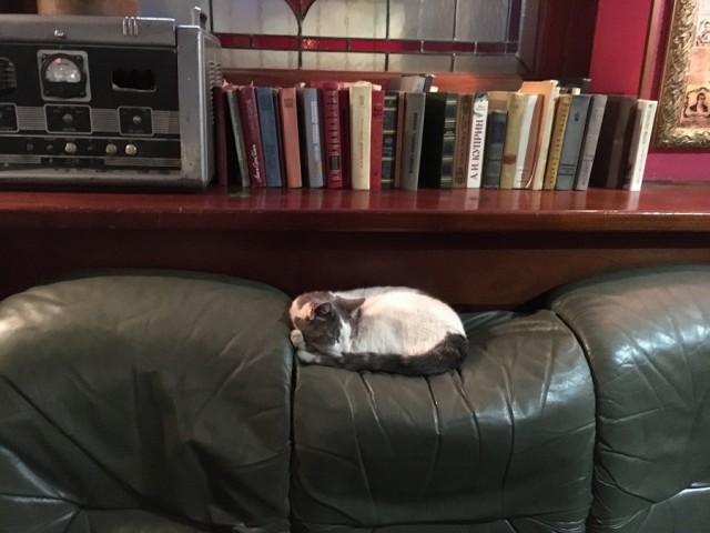 Уличные котаны
