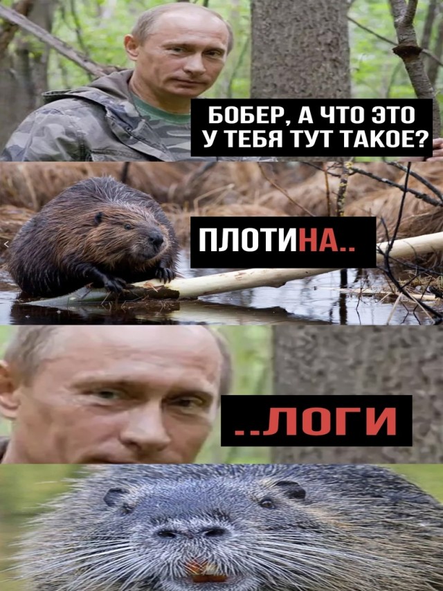 Безплотинная Мини-ГЭС Линева производит 11 кВт при скорости течения реки 1 м/с/m3