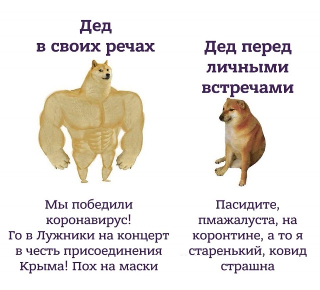 Путин не исключил, что ему придется уйти на карантин