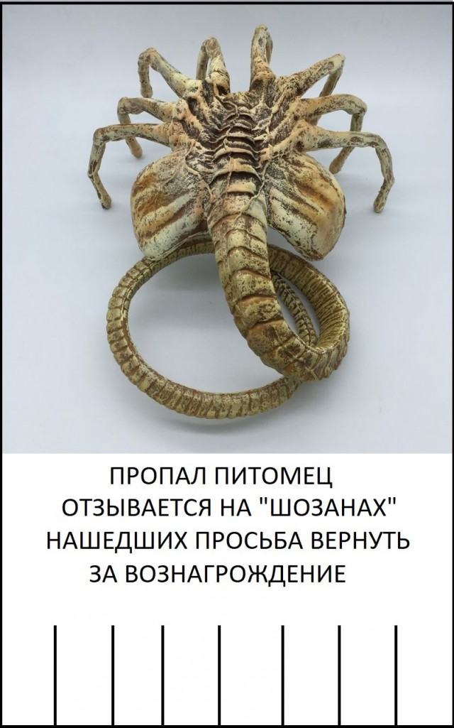 Картинки и мемы, всем прекрасных выходных