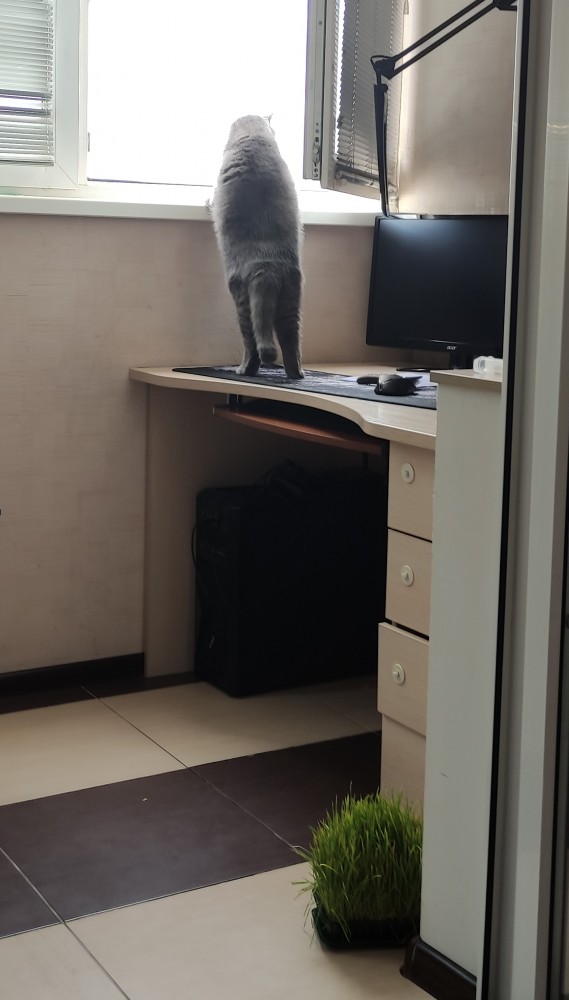 Котовторник 05.10.21 г