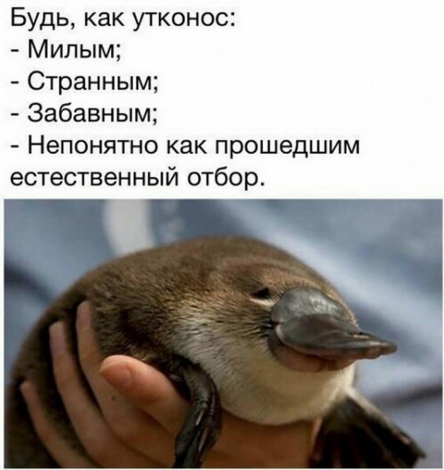 Так себе картинки 12.11.21