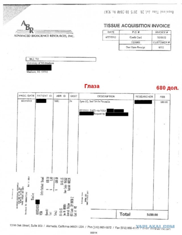 Зомби-апокалипсис 2022