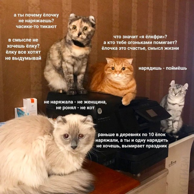 Всяческие картинки 15.12.2021