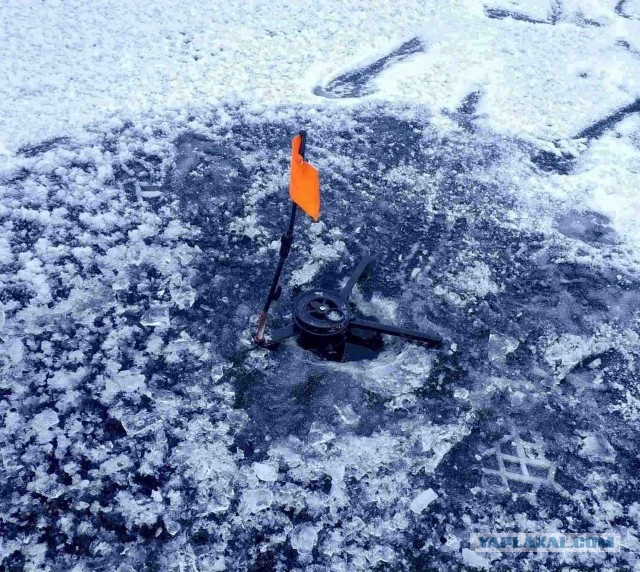 Открыл сезон зимней рыбалки