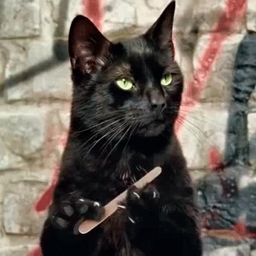 Бенгальская кошка. История.