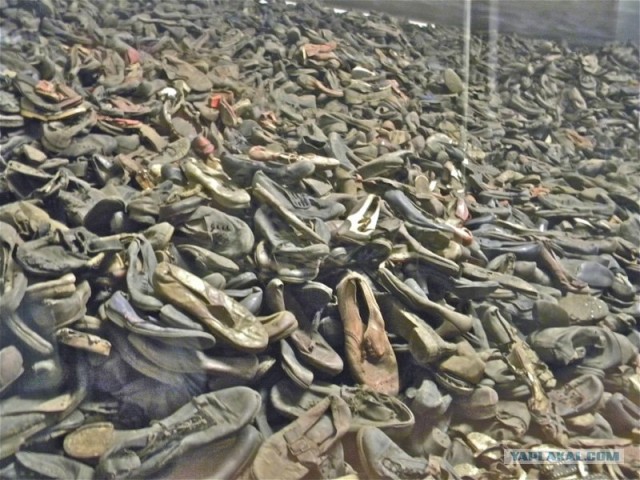 Мы и Тыгра. S.T.A.L.K.E.R.ы, через 12 стран