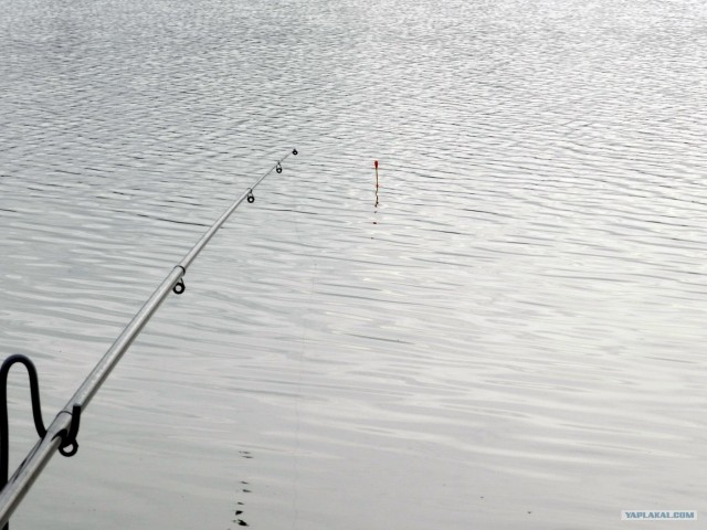 Рыбалки псто