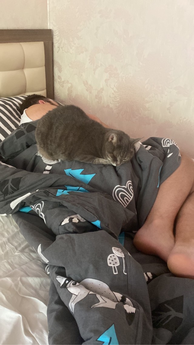 А как вы спите с котиком?