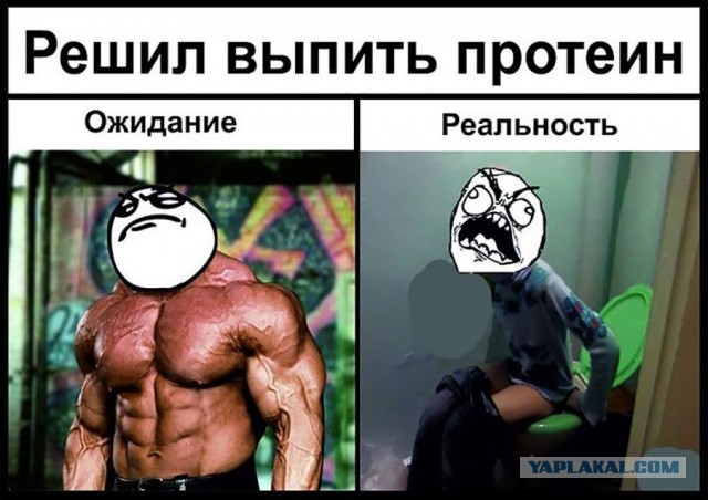 "Кто ты, тварь", сборник мемов про качков