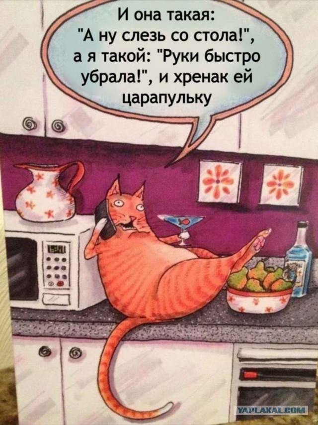 Одни запреты
