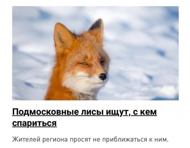 Комментарии из соцсетей. Смешные, грустные, твои.