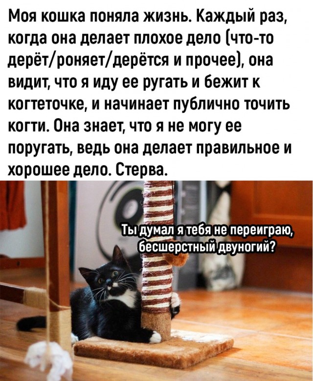 Так себе картинки 01.08.23