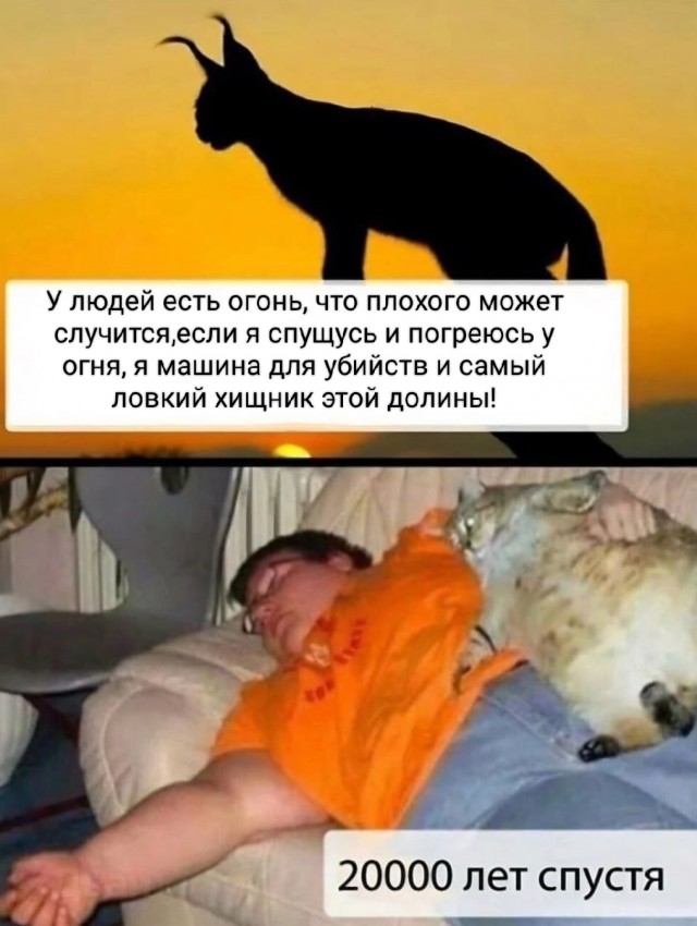 Чуток улыбательности на вечер