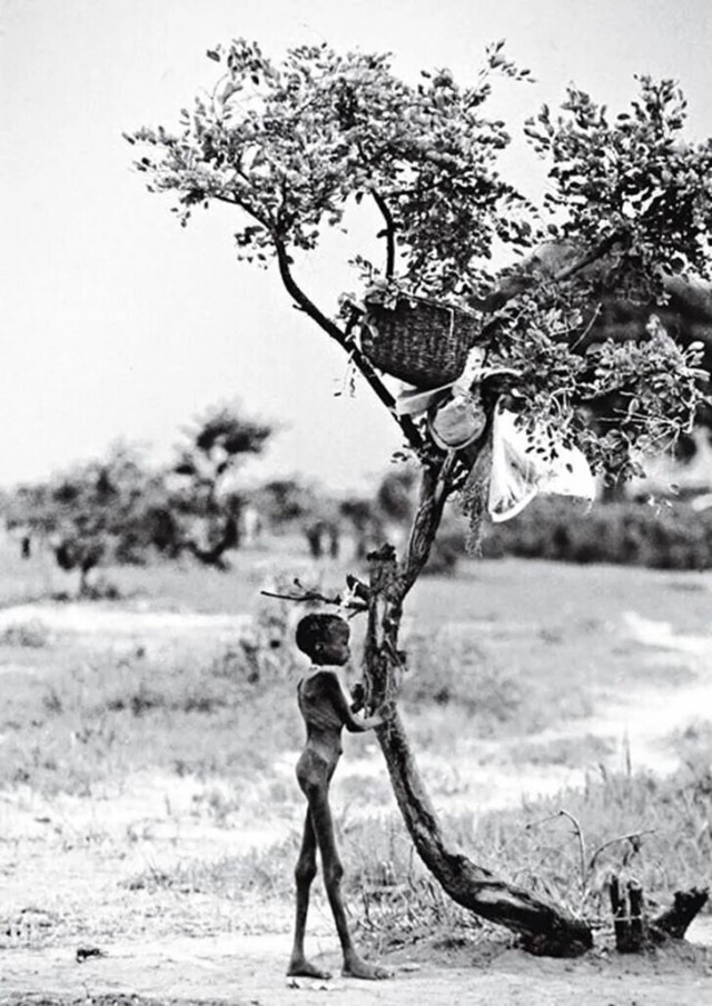 «Девочка и стервятник»: как всего один репортажный снимок разрушил карьеру и жизнь фотографа Кевина Картера.Судан, 25 марта 1993