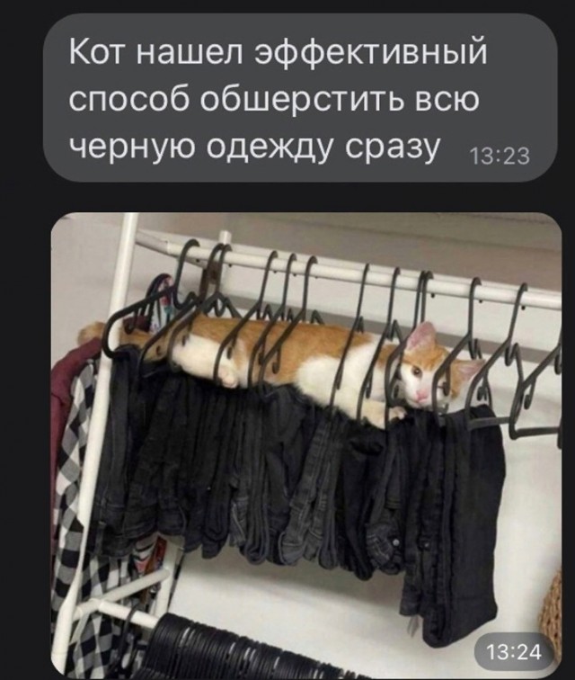 Всего понемногу. От 14.01