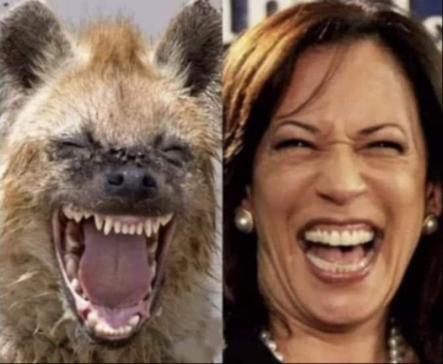 ФотоВинегрет из 60 пикч