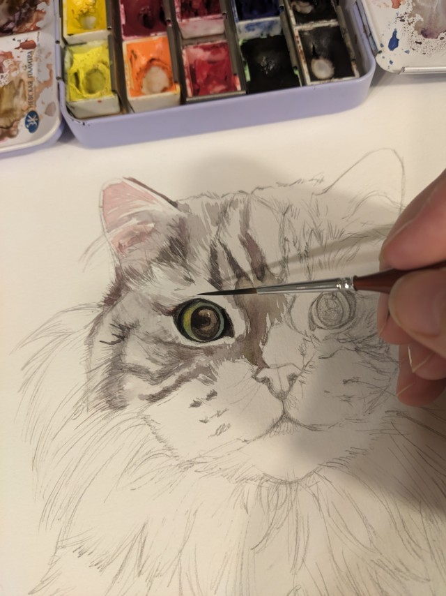 Акварели показываю.Рисунок кота Дарси
