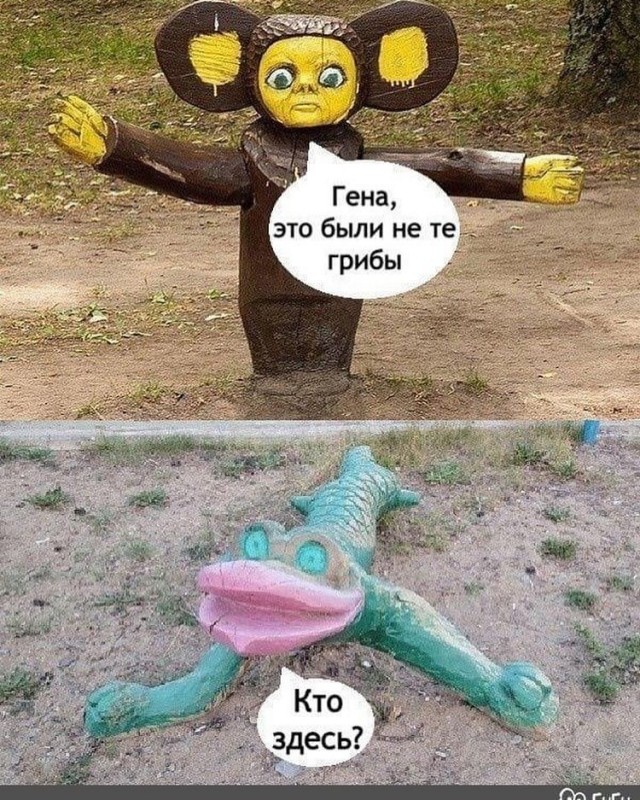Отряд быстрого деградирования