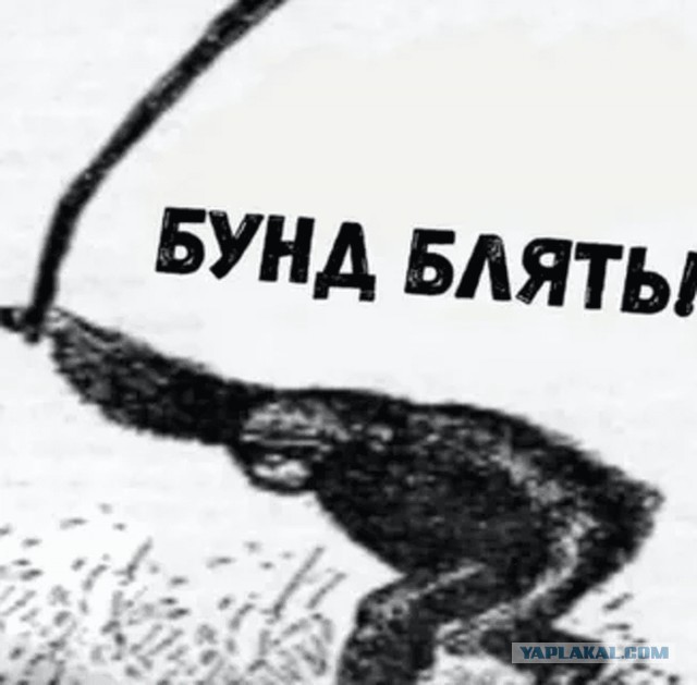 Девчули