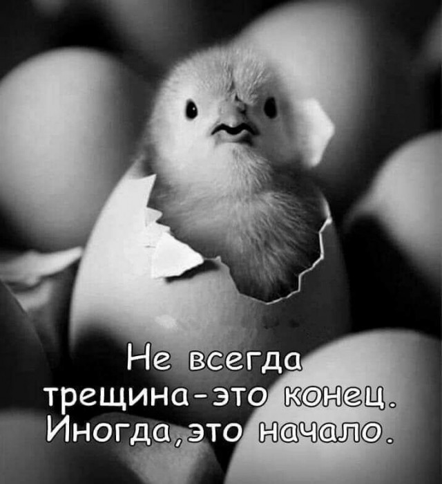 Никакие картинки и тексты