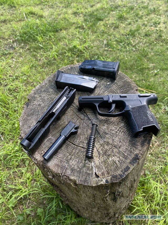 Sig Sauer P365