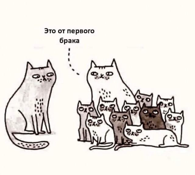 Картинки разные с надписями и без