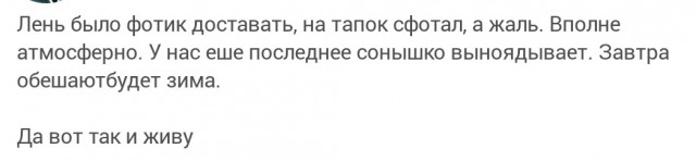 Фотка из жизни