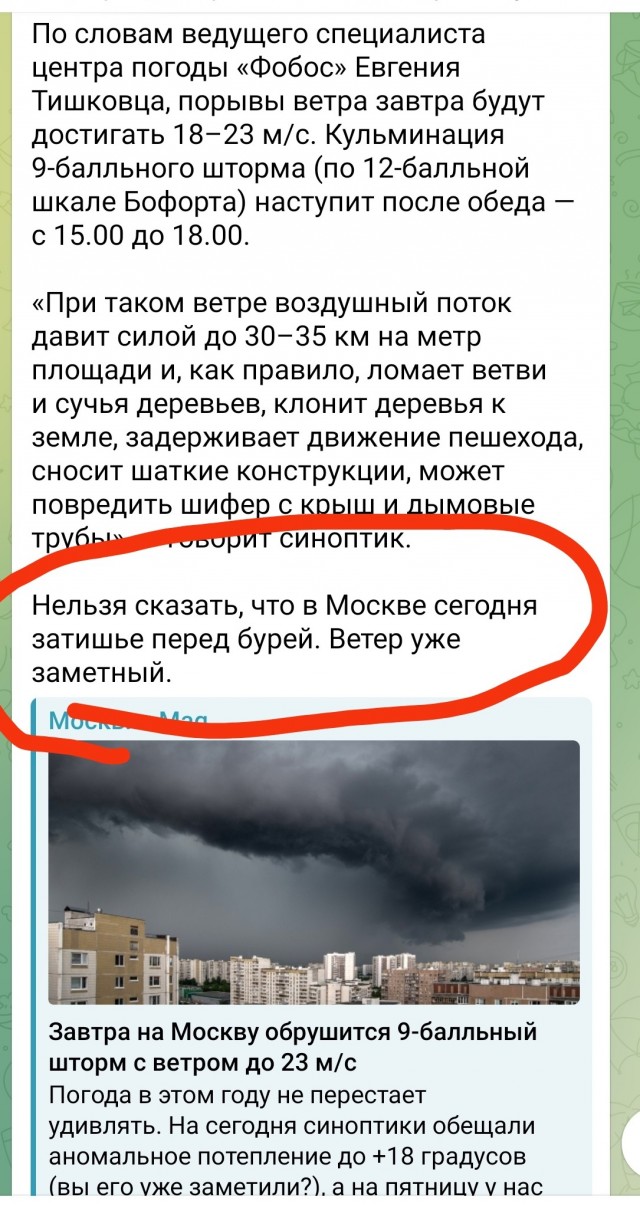 Синоптик предупредил о шторме в Москве 14 марта