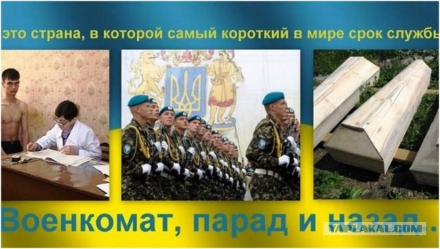 В Госдуме призвали отправить в армию студентов